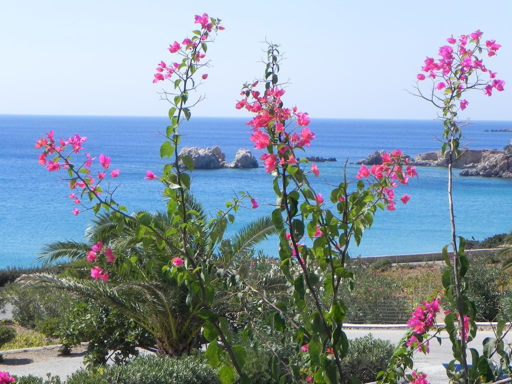 Ardani Bay Studios Amoopi Zimmer foto